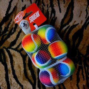 Nerf Dog Puppy OR Sm Dog Rainbow Balls 6 pack New!